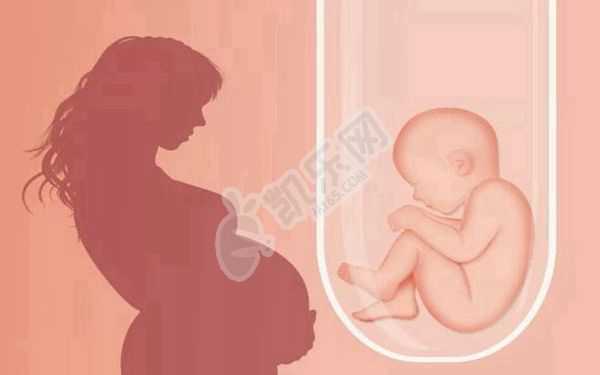供卵生出来的宝宝有自己的基因吗_做试管婴儿为什么要养囊？